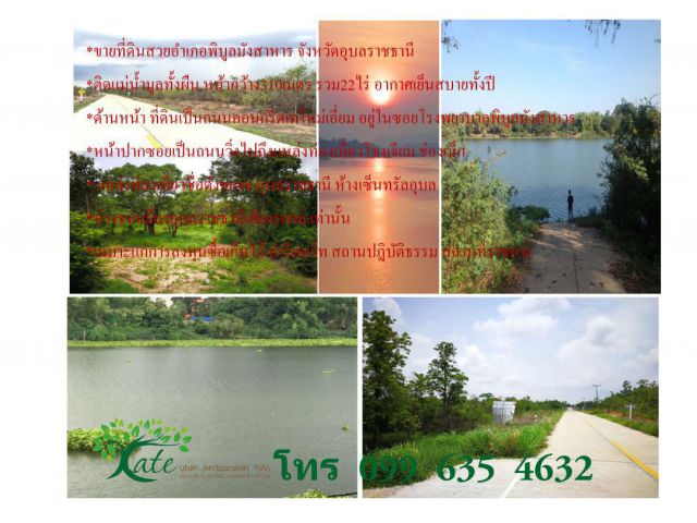 ขายที่ดินสวยอำเภอพิบูลมังสาหาร จังหวัดอุบลราชธานี