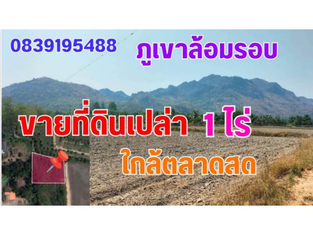 ขายที่ดินชะอำ​ เพชรบุรี​ 1ไร่​ ใกล้ถนนเพชรเกษม​ 1.5กม.​ อยู่ในแหล่งชุมชน​