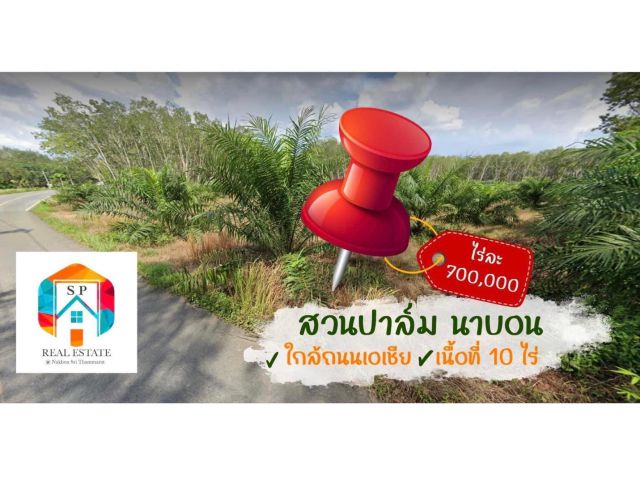 ที่ดินสวนปาล์มนาบอน 10 ไร่เศษ ใกล้ถนนเอเชียสาย41