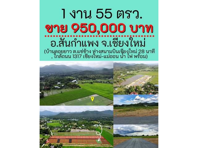 ที่ดินเชียงใหม่ 155 ตรว ขายเพียง 950,000 บาท ฟรีโอน