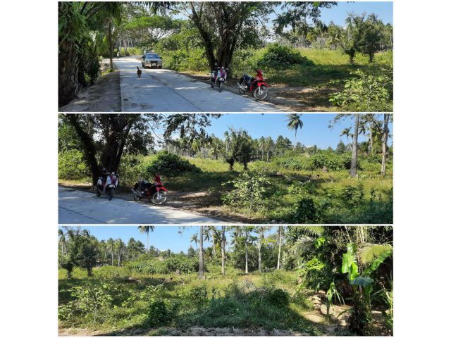 ที่ดินโฉนด1ไร่ ขาย1.25ล้าน ติดถนนคอนกรีต ไปชายหาดสวนหลวง 1. 5 กิโล