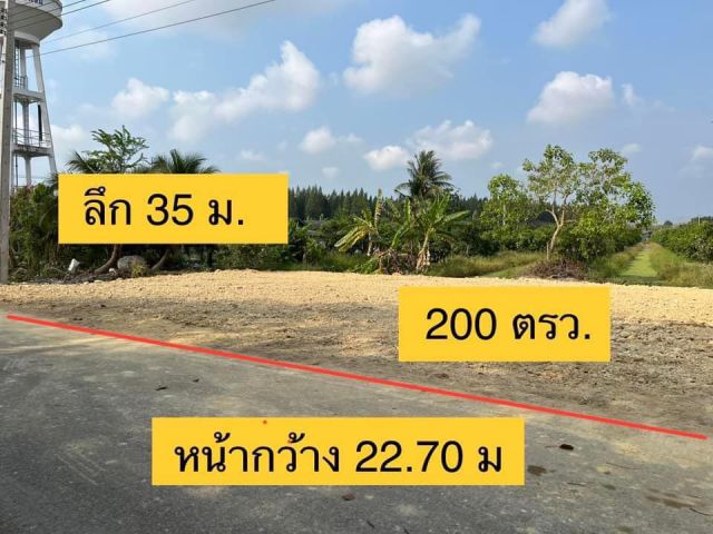 ขายที่ดินแบ่งขาย 200 ตรว ด้านหน้าติดถนนลาดยาง ใกล้สวนสุขภาพพุทธมลสมุทรสาคร