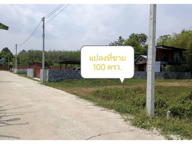 100ตรว.ชากกบก บ้านค่าย ระยอง