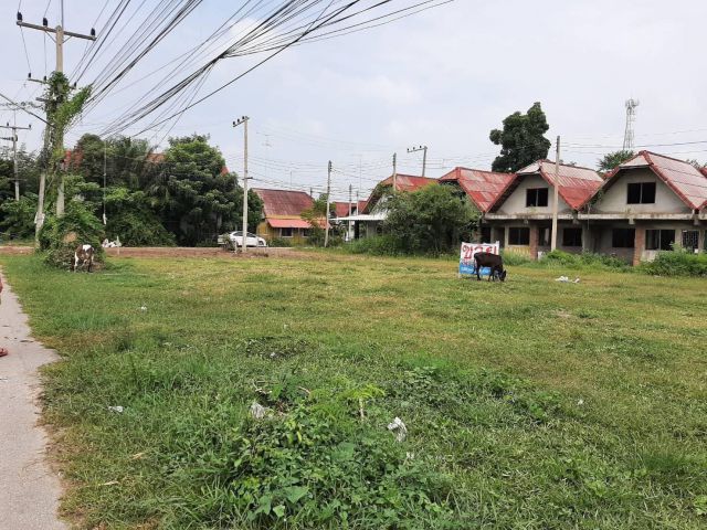 ขายที่ดินติดถนนทางหลวง ท่ายาง-ปึกเตียน ใกล้หาดเพชร และหาดปึกเตียน