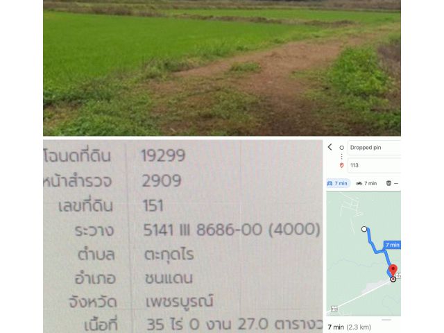 ขายที่นา 35 ไร่