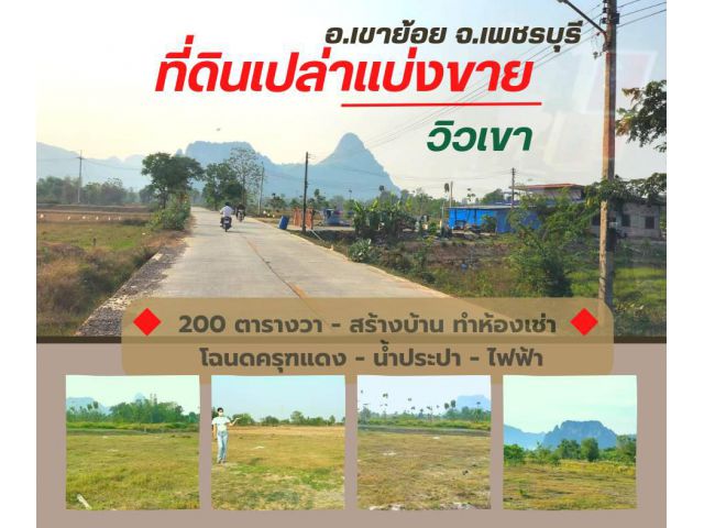 ขายที่ดินเขาย้อย 200 ตรว. ต.หนองชุมพล อ.เขาย้อย จ.เพชรบุรี