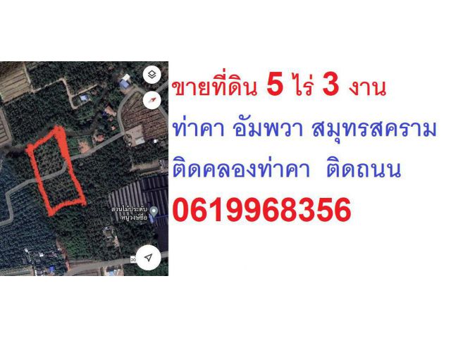 ขายที่ดิน ท่าคา อัมพวา  สมุทรสงคราม  5 ไร่ 3 งาน ติดคลอง ท่าคา  ถนนเข้าถึง น้ำไฟ