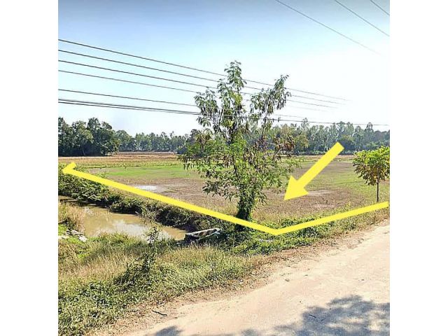 ที่นาติดถนนลาดยาง มีไฟฟ้า ใกล้ชุมชน อยู่อาศัยได้ อ.พิชัย อุตรดิตถ์