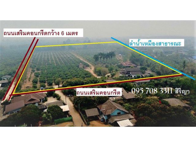 ที่สวนลำไยพร้อมบ้านหลังใหญ่ ติดถนน 2 ด้าน แม่สรวย ศรีถ้อย เจดีย์หลวง เชียงราย ใกล้ถนนเอเชีย วัดแสงแก้ว เขื่อนแม่สรวย ดอย