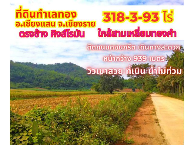 ขายที่ดินเชียงราย ตรงข้ามคิงโรมัน  318-3-93ไร่ ใกล้สามเหลี่ยมทองคำ