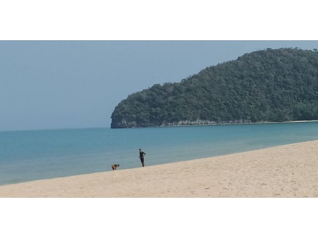 ขายที่ดิน ติดทะเล ชายหาดสวย หน้ากว้าง 40.5 เมตร ฝั่งทะเล เนื้อที่ 3-30ตรว.งาน ฝั่งถนน 1งาน รวม 1ไร่30 ตรว. เอกสารสิทธิ์เ