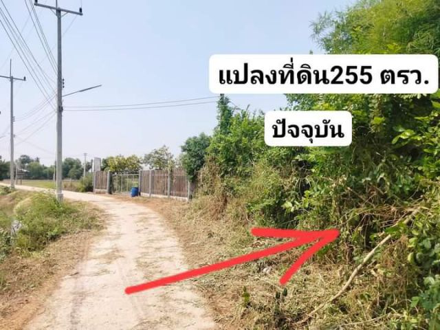 ขายที่ดินเปล่า ครึ่งไร่กว่า พื้นที่ 2งาน55 ตรว. ไฟฟ้าปะปาผ่านอยู่ในชุมชนบรรยากาศบ้านทุ่ง