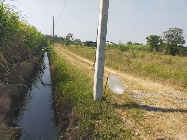 ขายที่ดิน แปลงสวย 238ตรว.เหมา 300000-ต.ดอนมะนาว อ.สองพี่น้อง จ.สุพรรฯเหมาะทำบ้านพักอาศัย/ที่สูงน้ำไม่ท่วมใก้ลถนน321/3020