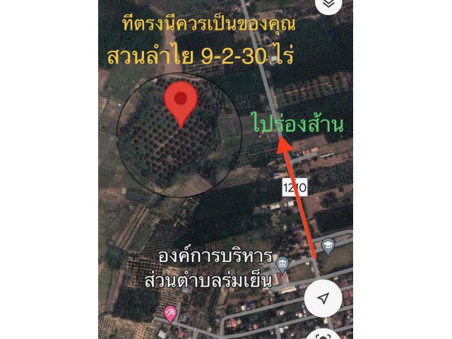 ที่ดินสวนลำไย 9-2-30ไร่ หลัง อบต.ร่มเย็น อ.เชียงคำ จ.พะเยา