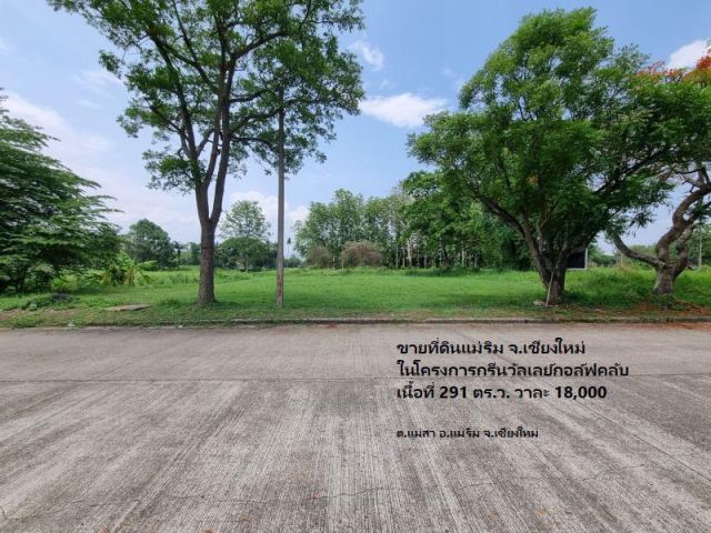 ขายที่ดินแม่ริม จ.เชียงใหม่ ในโครงการกรีนวัลเลย์กอล์ฟคลับ เนื้อที่ 291 ตร.ว. วาละ 18,000