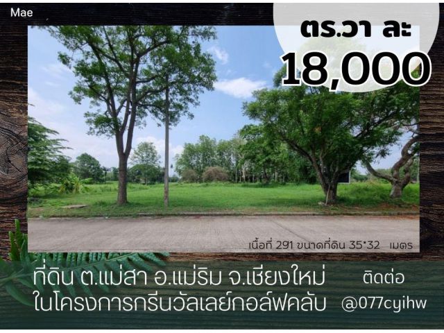 ขายที่ดินแม่ริม ในโครงการกรีนวัลเลย์กอล์ฟคลับ เนื้อที่ 291 ตร.ว. วาละ 18,000 (5,238,000บ.) ขนาดที่ดิน 35*32   เมตร