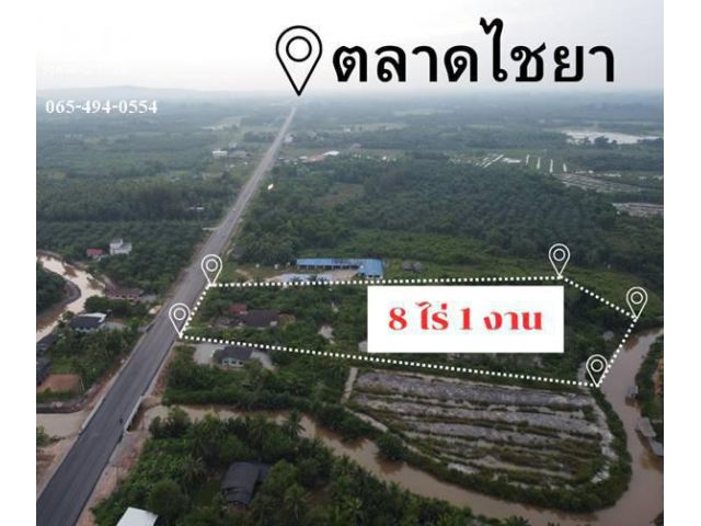 ขายที่ดินหน้าติดถนนหลังติดคลองอ.ไชยา จ.สุราษฎร์ธานี ถนนไชยา-พุมเรียง