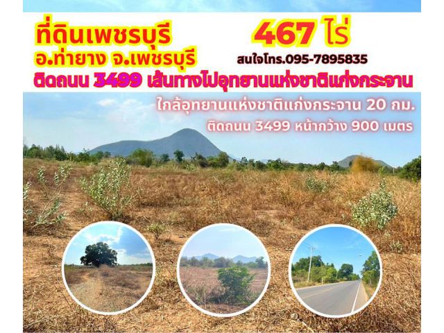 ขายที่ดินเพชรบุรี ท่ายาง 467 ไร่ ติดถนน 3499 เส้นทางไปอุทยานแห่งชาติแก่งกระจาน