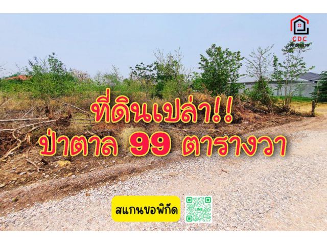 . .ที่ดินเปล่า!! ซอยหลังแหม่มรถขุด ป่าตาล ติดถนน 2 ด้าน เหมาะปลูกบ้าน . .