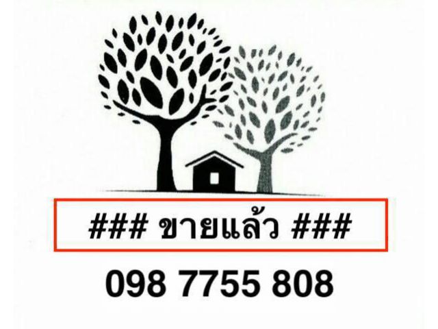 ที่ดิน 4 ไร่ ติดถนน 347 สามโคก ปทุมธานี 098 7755 808