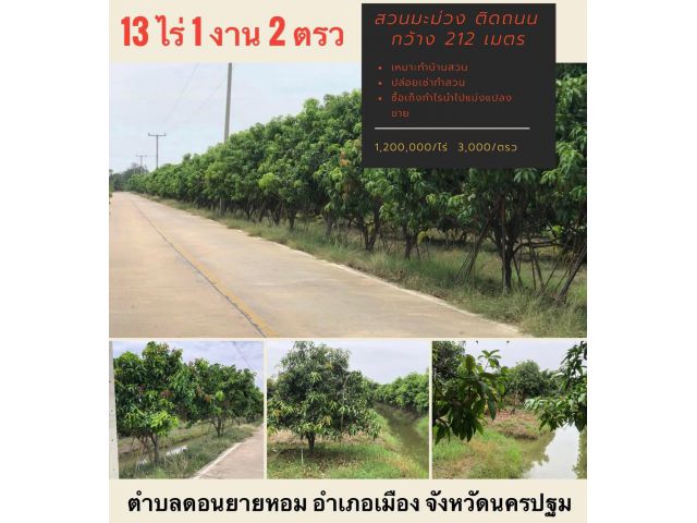 ขายที่ดินสวนมะม่วง หน้ากว้างติดถนน 212 เมตร 13 ไร่ 1 งาน 2 ตรว ต.ดอนยายหอม อ.เมืองนครปฐม