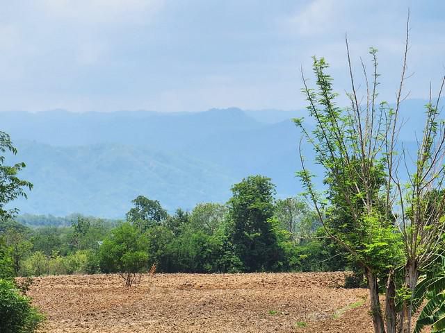 ขายด่วน ที่ดินติดถนน  5 ไร่ 2 งาน ต.บ้านโคก จ.เพชรบูรณ์ วิวสวย ภู