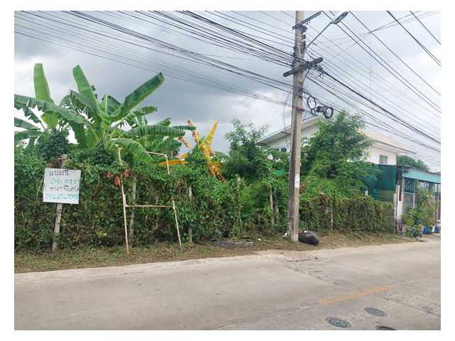 ที่ดินเปล่า 36 ตรว.ถมแล้ว พุทธมณฑลสาย 3 ซอย 13 ย่านชุมชน เหมาะสำหรับปลูกบ้านพักอาศัย