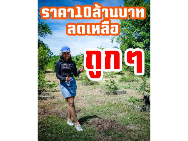 ขายที่ดินเปล่าตลาดกำแพงแสน นครปฐม วัดรางหมัน วัดไร่แตงทอง ราคาไม่เกิน100ล้าน รับรองคะ