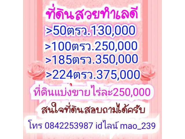 ที่ดินแบ่งขายราคาเบาๆ50ตรว.130000/100ตรว250000/1ไร่250000