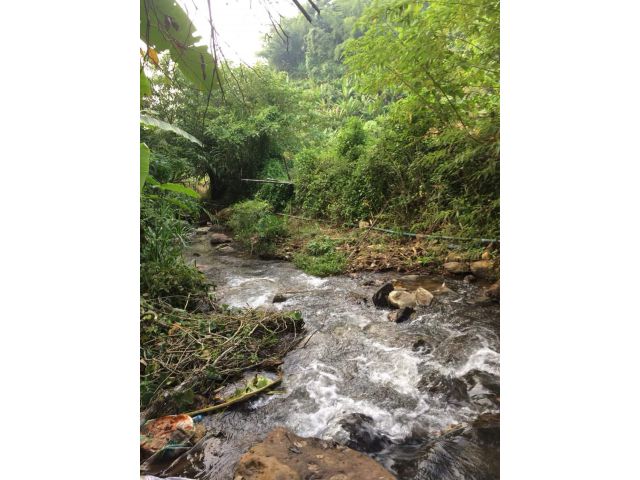 ขายที่สวนแม่แตงบ้านเมืองก๋ายติดลำธารน้ำที่ดินครอบครองราคาถูก