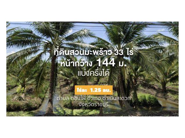 สวนมะพร้าวน้ำหอม (ให้ผลผลิตแล้ว) 33 ไร่ 2 งาน ไร่ละ 1.25 ลบ. ((แบ่งขาย 16.5 ไร่ได้)) หน้ากว้าง 144 ม. ติด ถ.สาธารณะ ด้านข้างติดคลอง