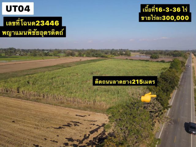 ที่ดินเส้นหลักพิชัย-ศรีสำโรง หน้ากว้างกว่า200เมตร