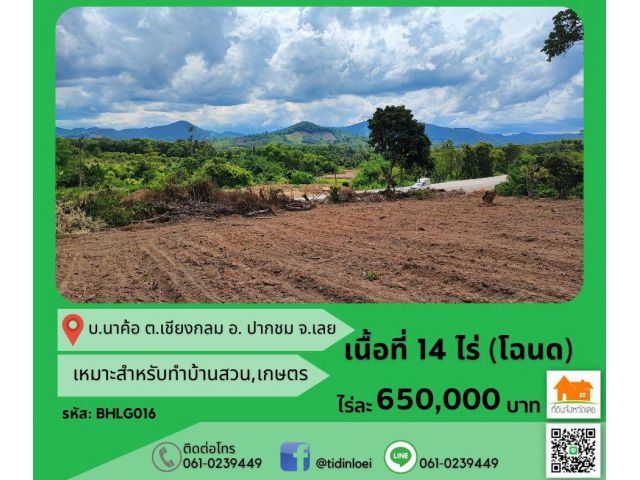 ขายที่ติดทางหลวง บ.นาค้อ ต.เชียงกลม อ.ปากชม