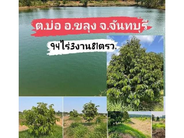 ขายที่ดินพร้อมสวนทุเรียน 94 ไร่  จ.จันทบุรี