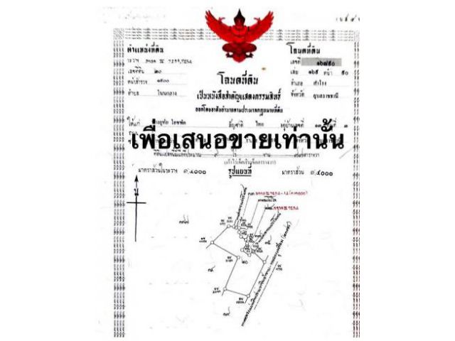 ที่ดิน 42 ไร่ 3 งาน 46 ตร.ว. ไร่ละ 1,500,000 บาท ติดทางหลวง2178