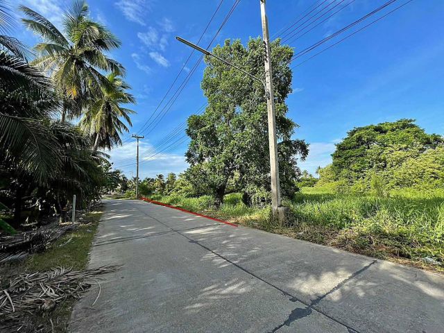 ขายที่ดิน พุทธมณฑลสาย 7 ใกล้ถนนบรมราชชนนี ปิ่นเกล้า สามพราน นครปฐม