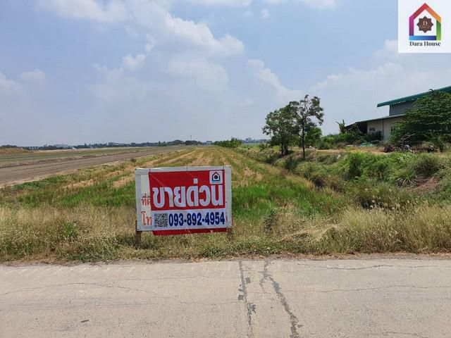 ขายที่ดิน 16 ไร่ คูบางหลวง ลาดหลุมแก้ว ปทุมธานี ที่ดินทำเลดีมาก