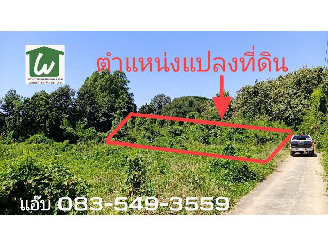 ขายที่ดินสรรคบุรี ต.แพรกศรีราชา อ.สรรคบุรี จ.ชัยนาท 174ตรว