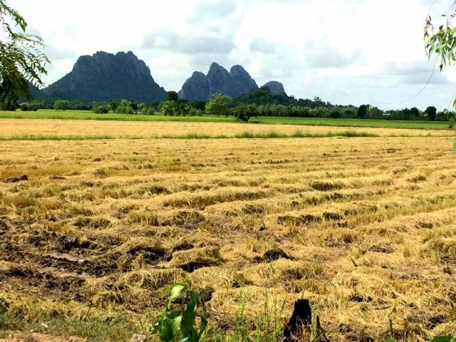 จัดสรร ที่ดินขาย แปลงละ 10 ไร่ ติดถนนทุกแปลง น้ำ -ไฟ พร้อม