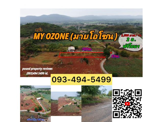 ที่ดินเขาใหญ่(ตรว.ล่ะ 2,500 บาท) | ตัดใจขาย | 2ไร่. 2 ล้าน | หน้า My Ozone ต .วังไทร อ .ปากช่อง