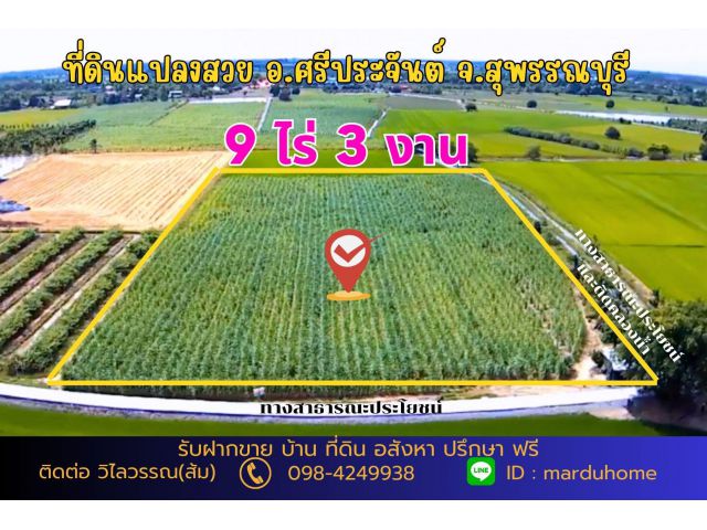 ที่ดินสวย 9 ไร่ 3 งาน 5.3 ตารางวา ต.ดอนปรู อ.ศรีประจันต์ จ.สุพรรณบุรี ติดถนนสาธารณประโยชน์ เหมาะ ทำสวนเกษตร ปลูกบ้านในยา