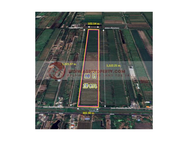 ขายที่ดิน 89 ไร่ 19 ตรว. พื้นที่สีชมพู คลอง11 ต.บึงกาสาม อ.หนองเสือ จ.ปทุมธานี
