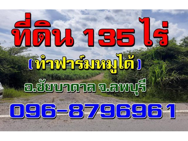 ที่ดิน(โฉนด)135ไร่(พื้นที่สีม่วง)**ทำฟาร์มหมูได้**ต.ศิลาทิพย์ อ.ชัยบาดาล จ.ลพบุรี