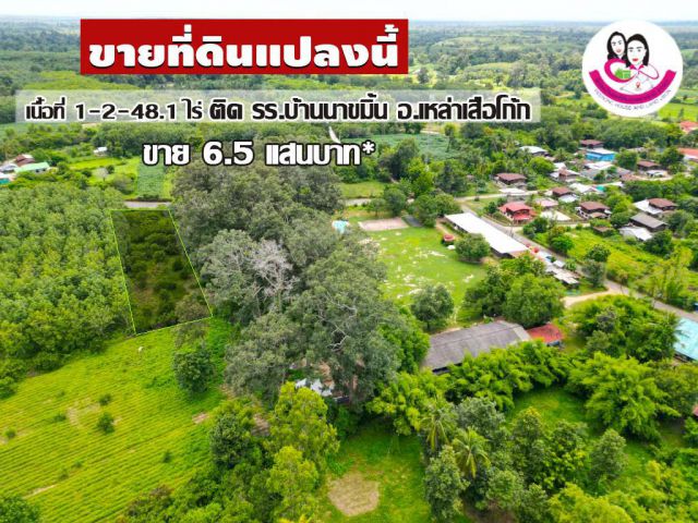 ที่ดินเปล่าแปลงสวย  1-2-48.1ไร่ ติดโรงเรียนบ้านนาขมิ้น อ.เหล่าเสือโก้ก จ.อุบลราชธานี