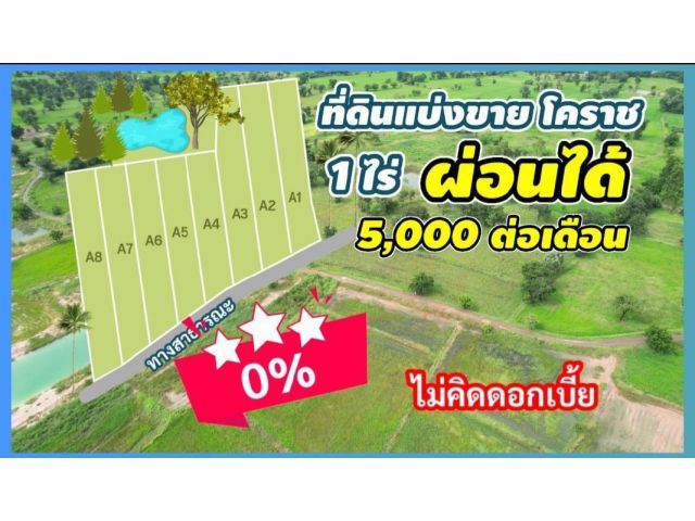 ╰┈►► ขายที่ดิน โนนไทย โคราช โคกหนองนา แบ่งขาย 1ไร่(ที่นา) ผ่อนไม่คิดดอกเบี้ย