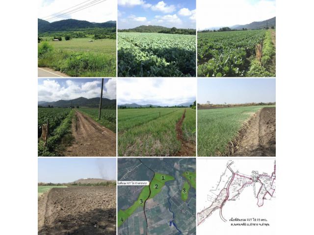 ขายที่ดิน 217-0-23 ไร่ อำเภอป่าซาง จังหวัดลำพูน
