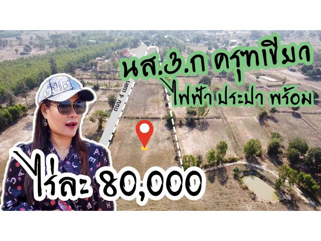 ╰┈►► ขายที่ดิน ไร่ละ 80,000 นส.3.ก ครุฑเขียว ไฟฟ้าประปาพร้อม ติดถนน อ.กุดชุม ยโสธร