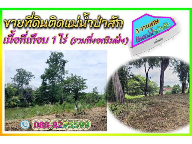 ►►► New ***เจ้าของขายเอง ขายที่ดินติดแม่น้ำป่าสัก เนื้อที่เกือบ 1 ไร่  ใกล้โรงเรียน ใกล้ตลาด ใกล้ชุมชน *** ขาย 4.2 ล้าน