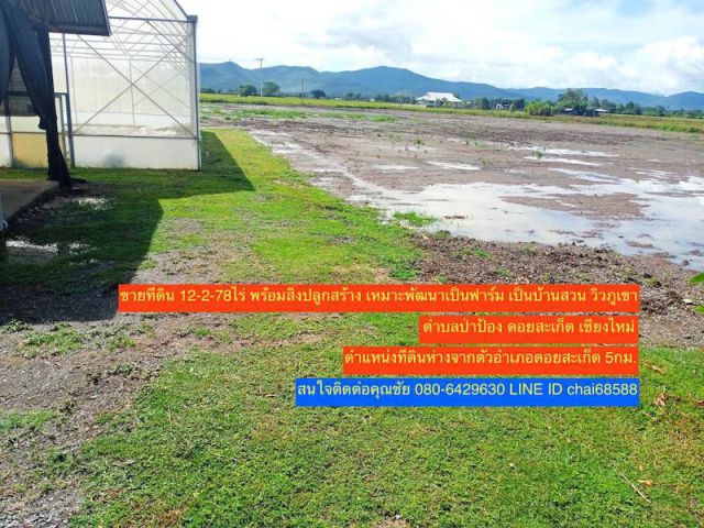 ขายที่ดินพร้อมสิ่งปลูกสร้าง เนื้อที่ 12-2-78ไร่ ตำบลป่าป้อง อำเภอดอยสะเก็ด จังหวัดเชียงใหม่ ที่ดินพร้อมสิ่งปลูกสร้าง โรงเรืองปลูกผัก บ้านพัก
