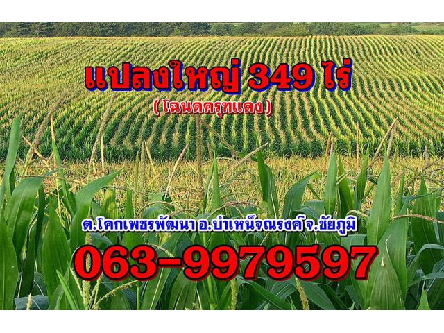 ที่ดิน(โฉนด)แปลงใหญ่349ไร่(เจ้าของเดียว)ต.โคกเพชรพัฒนา อ.บำเหน็จณรงค์ จ.ชัยภูมิ